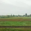 feddxd1