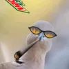 Birds N' Bass
