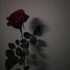 viyann0634