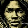 chifo.adara