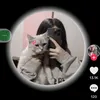user5548617449705