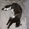milka_94855