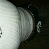 rosha.zare.asgri