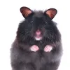 susu