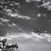 anakineditcd