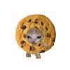 ionut._.biscuite