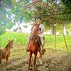 user90186815157454