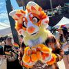 orange_furry
