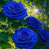 atef.oueslati2