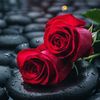 user2076199782700