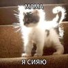 mamayasiyayu999