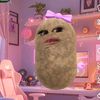 nadin_7750