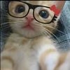 katty.brenda1