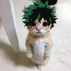 gojoefcjhalu