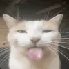 m4ln3tie_