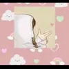 miavalentinta2