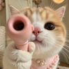 akuuhh34