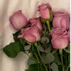 user632170737034u