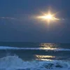sajad.sajad5101