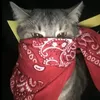 shisuhsivk0