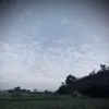 hng.vn0280