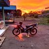 _raff115