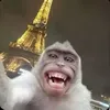 go.viral63