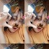 chaaa_930