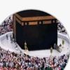user581759131869
