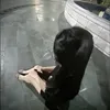 tr_wuynk21