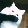 j3lly._.y0i2