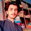 jinsar528