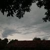 kalitz_aurivina