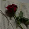r_ro515