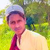 shayad804