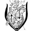 badrulb31