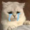 user687366668