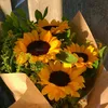 sue_873