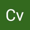 cv.cvb53