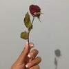 forevershe75
