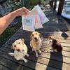 petsworldusa7