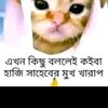 md.robiul.islam.257