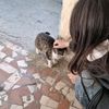 hetemova__