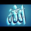 tamer.amin22