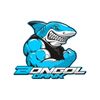 BONGOL GANK