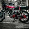 mueedali7110