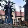 indigounderdog7