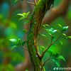 mrbnature