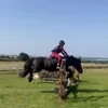 evalynn02xx