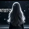 saifa.islam3935